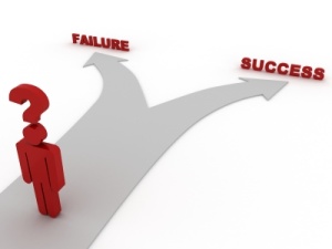 small business seo choices