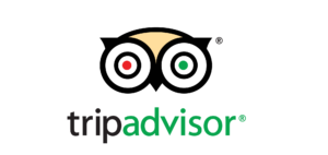 tripadvisor reviews