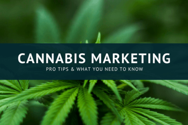 cannabis marketing - marijuana cannabis advertising tips
